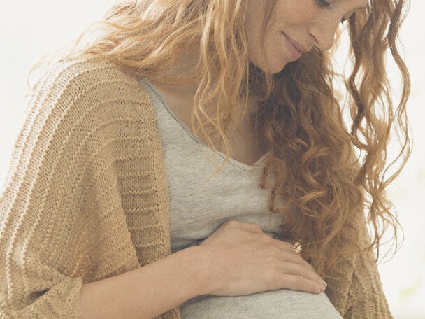 1. Trimester 1. Trimester