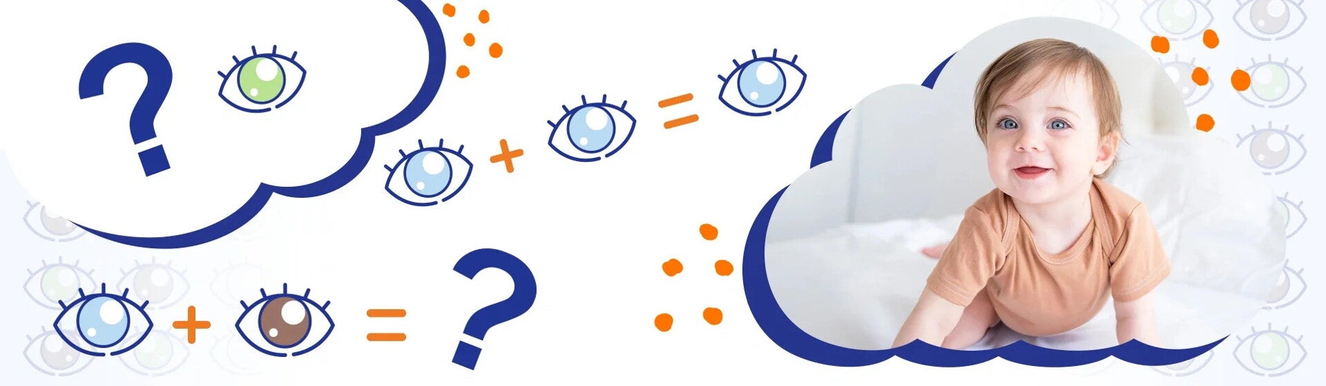 Baby Oogkleur-Rechner Baby Oogkleur-Rechner